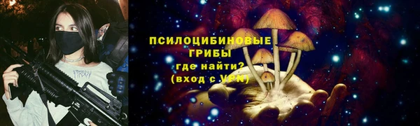 a pvp Абаза