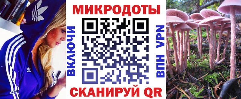 Псилоцибиновые грибы мицелий  Алдан 